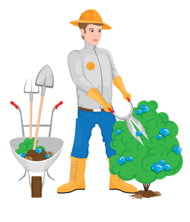 Садовник для детей