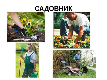 Профессия садовник для детей