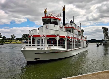 Тараник пароход