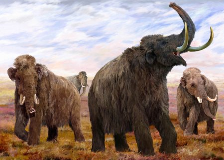 Шерстистый мамонт (Woolly Mammoth)