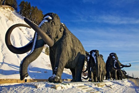 Сибирский мамонт