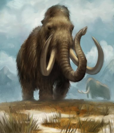 Мамонт Mammuthus primigenius