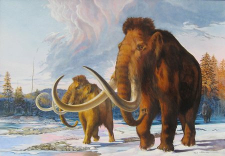 Сибирский шерстистый мамонт