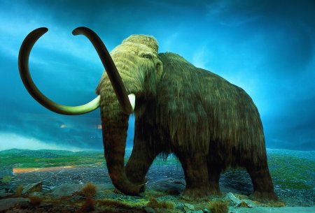 Шерстистый мамонт
