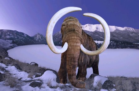 Шерстистый мамонт бивни