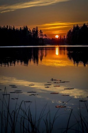 Вечерняя природа