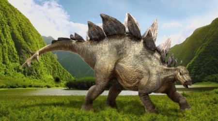 Травоядные динозавры Стегозавр