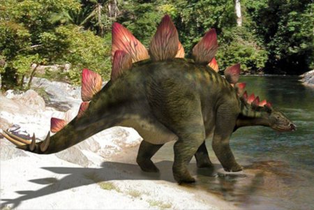 Стегозавр растительноядный динозавр