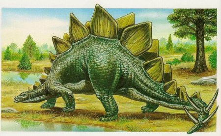 Стегозавр динозавр