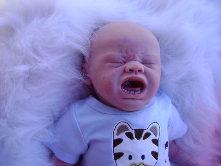 Реборн Ханна реборн