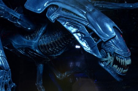 Xenomorph NECA Queen