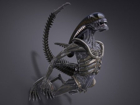 Alien Xenomorph 3d model
