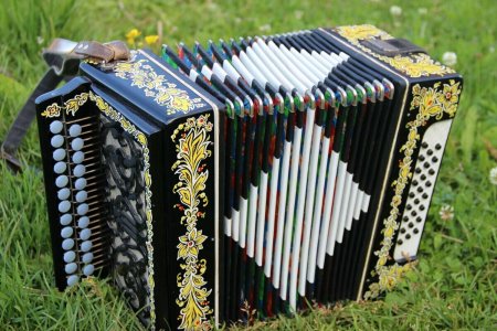 Балашовская гармонь