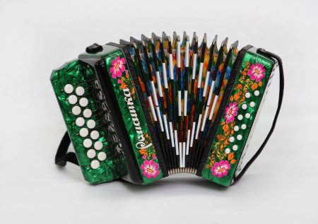 Гармонь Ромашка Шуйская