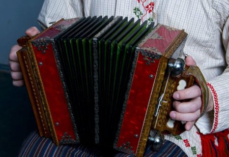 Саратовская гармошка