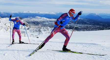 Лыжные гонки