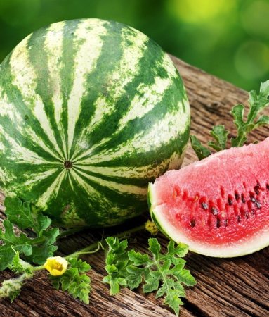 Арбуз Ватермелон