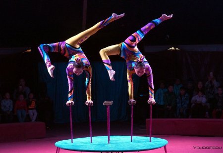 Акробаты в цирке