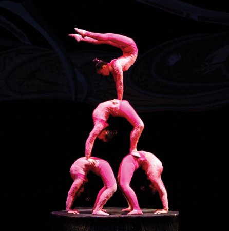 Силовая акробатика в цирке