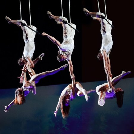 Воздушные акробаты