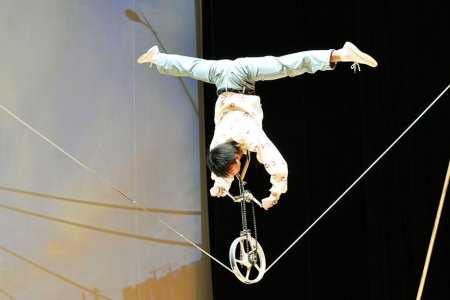 Трюки в цирке
