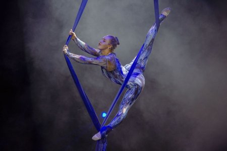 Цирковая гимнастика