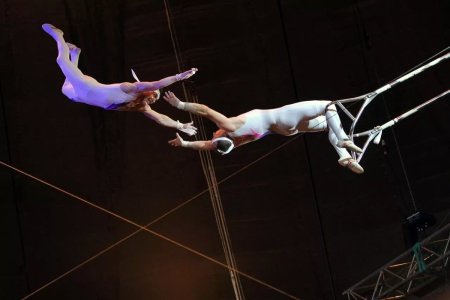 Трюки в цирке