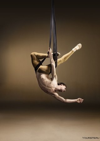 Воздушные акробаты