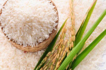 Basmati Rice
