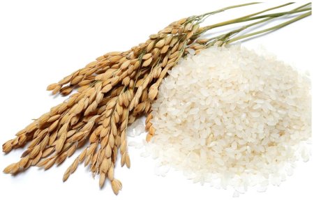 Гидролизованные протеины риса