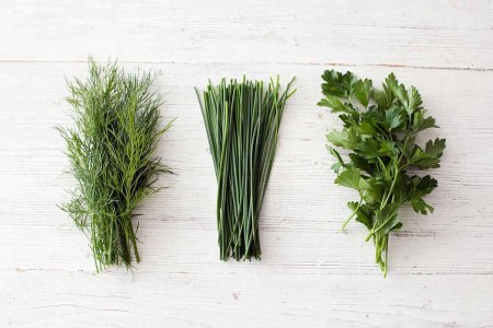 Greenery зелень укроп