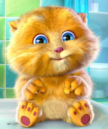 Джинджер кот