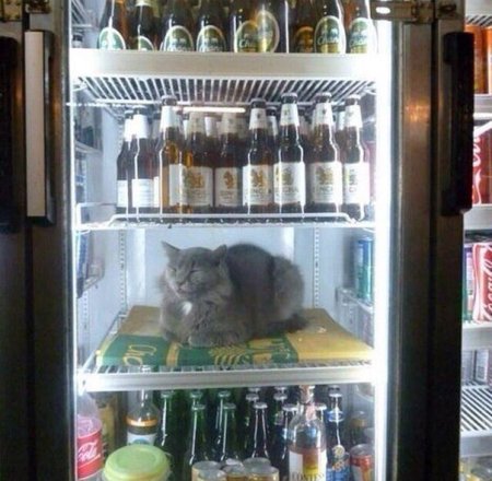 Смешные приколы про жару