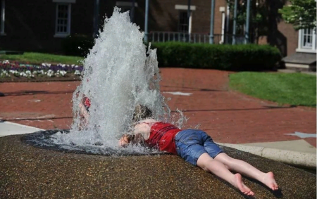 Лето жара приколы