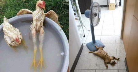 Очень жарко