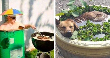 Жара прикольные