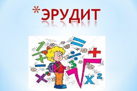 Эрудит математика