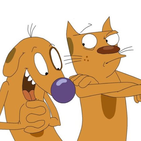 Котопес фото