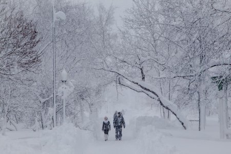 Метель зимой