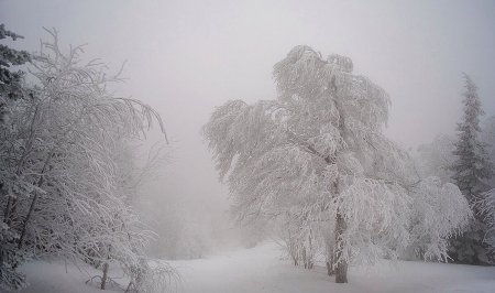 Метель и вьюга