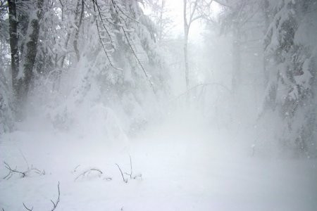 Буран Снежная буря