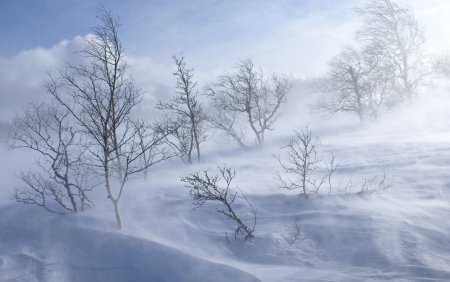 Метель и вьюга