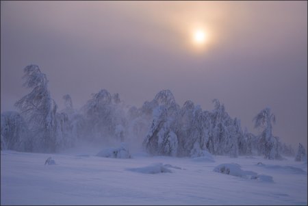 Зима вьюга