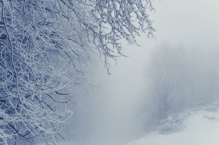 Зима метель