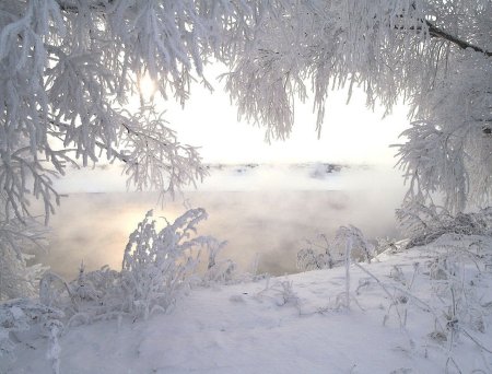 Зимний пейзаж метель