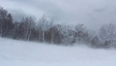 Снежная буря