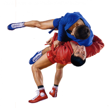 Боевое самбо бросок