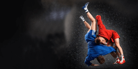 Чёткие обои самбо