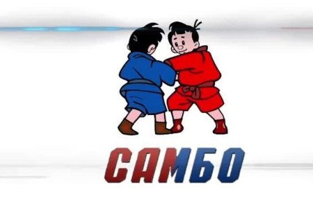 Рисунок самбо для детей