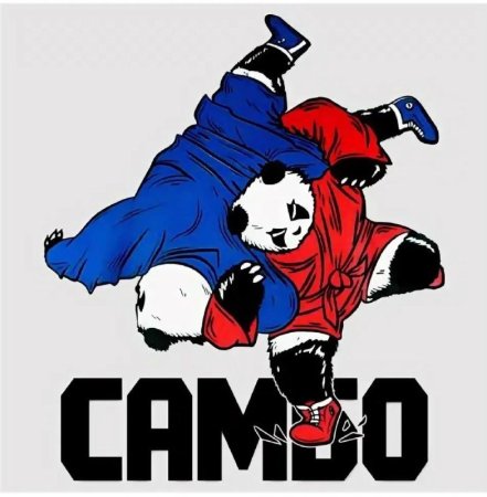 Боевое самбо арт